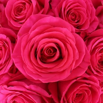 Sonarome Natural Liquid Food Color Rose Pink 17167 N 1 2 Taste In