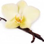 1-2 Taste IFF TRUSIL - Vanilla Special - 030040 shown as vanilla flower with dark vanilla bean pods on white background
