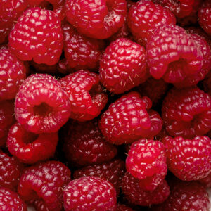 Sensarom - Liquid Food Colour- Raspberry Red