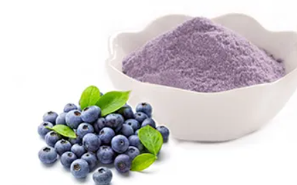 Matrix - Blueberry Flavour Powder - 7129856
