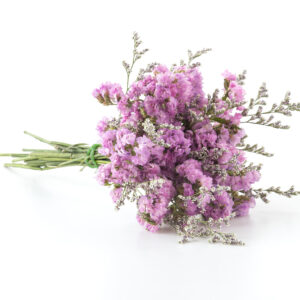 CEC - Lavender Scent Fragrance
