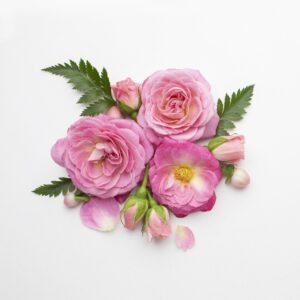 CEC - Rose Spark Fragrance