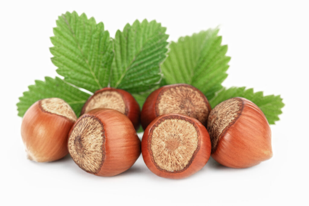 Kerry Hazelnut Flavour (WS) F1261 12Taste IN