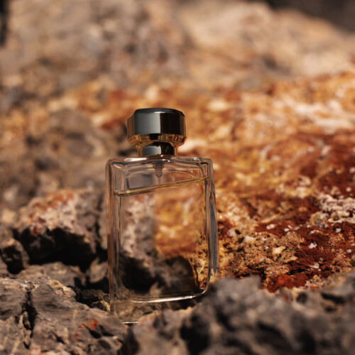 1-2 Taste IFF - Active Shine Fragrance displayed in a luxury glass bottle with a black cap, set on rugged stone terrain