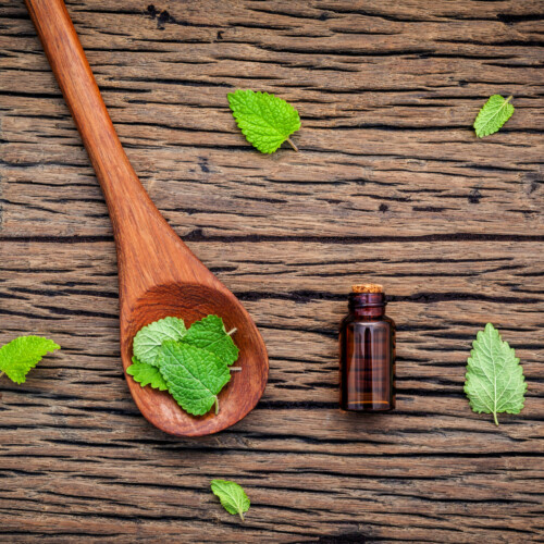 1-2 Taste IFF - Peppermint Flavour Oil - 2275