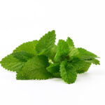 1-2 Taste IFF - Fresh Mint Flavour - S 3089