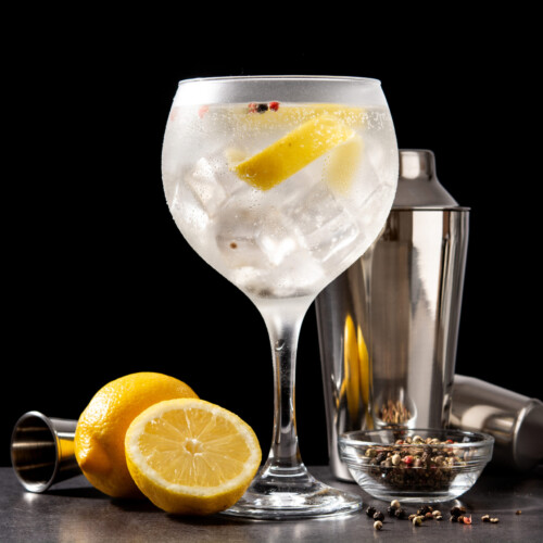 1-2 Taste IFF - Gin Dry LB 9 NA dis[played as refreshing gin and tonic cocktail with lemon slices and ice in a stemmed glass, surrounded by lemons, spices, and a cocktail shaker on a dark background
