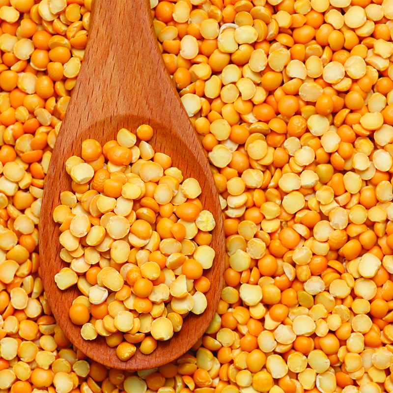 Nexxus Foods ProNex™ Organic Pea Protein 80 (100 mesh) NXO 4258 1