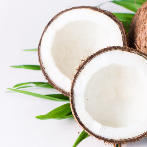 1-2 Taste IFF – Toasted Coconut Flavour - S 2374