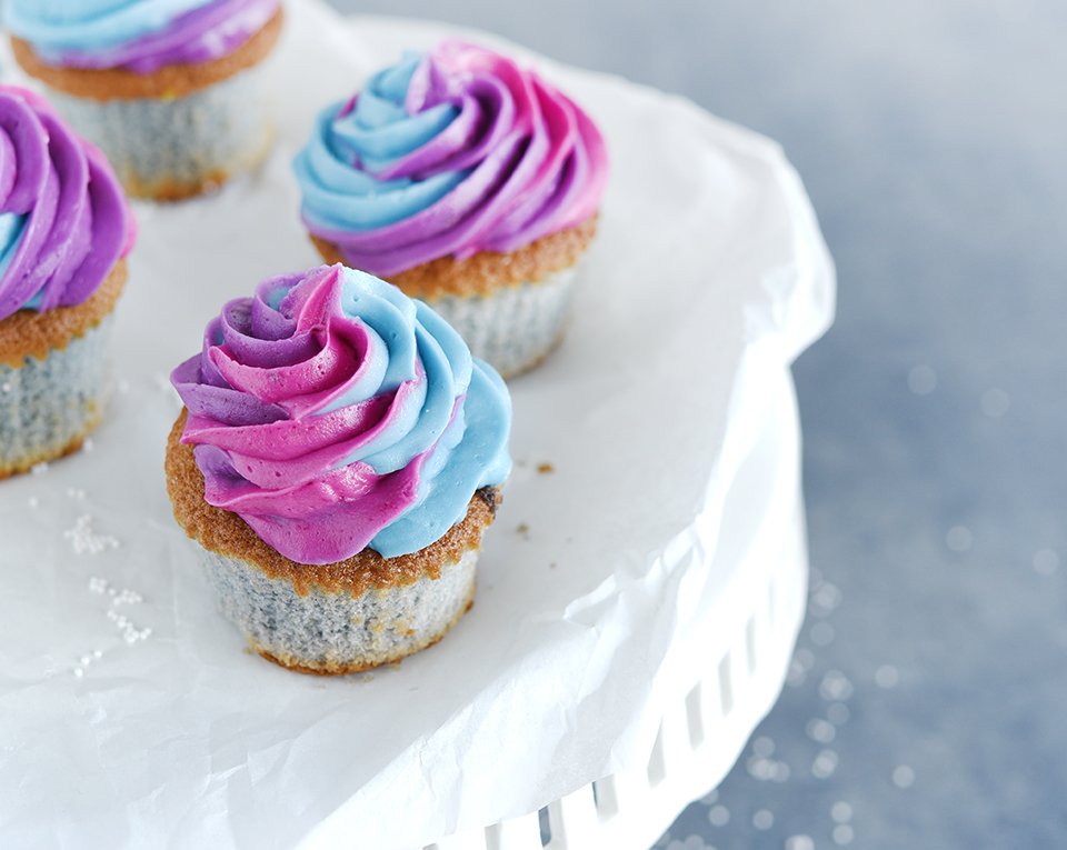 Colourfood Spirulina Blue Colorant Alimentaire Naturel En Poudre 1 2 Taste Eu