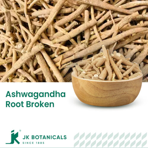 1-2 Taste JK Botanicals - Ashwagandha root broken in wooden bowl for herbal use