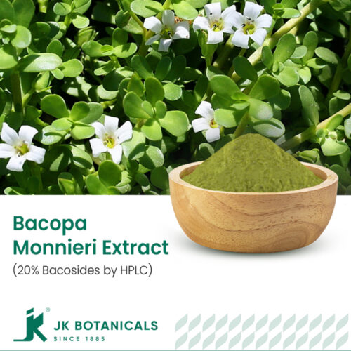 1-2 Taste JK Botanicals - Bacopa Monnieri herb extract 20% Bacosides by HPLC in wooden bowl with fresh Brahmi leaves and flowers