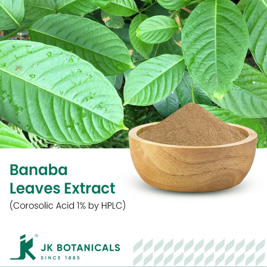 JK Botanicals_Banaba Leaves Extract Corosolic Acid 1_ by HPLC