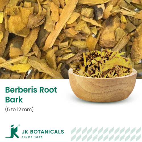 1-2 Taste JK Botanicals - Barberry Root bark 5-12 CM shown as dried yellow barberry root bark slices in wooden bowl with solid bark piece