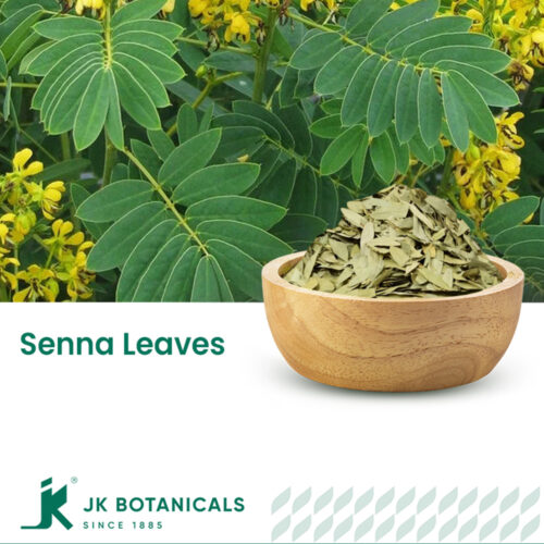 1-2 Taste JK Botanicals - Senna leaves in wooden bowl with loose senna leaf pieces beside