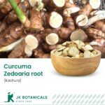 1-2 Taste JK Botanicals - Curcuma Zedoaria root (kachura) shown as dried sliced turmeric root in wooden bowl with whole rhizome and leaf