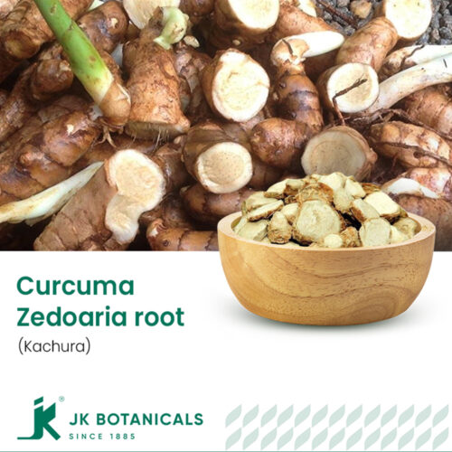 1-2 Taste JK Botanicals - Curcuma Zedoaria root (kachura) shown as dried sliced turmeric root in wooden bowl with whole rhizome and leaf