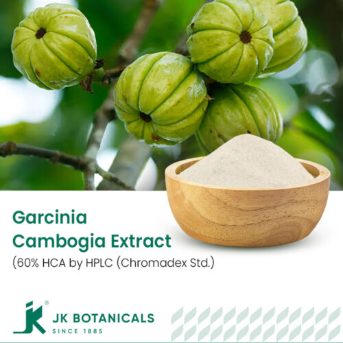 1-2 Taste JK Botanicals - Garcinia Cambogia fruit extract 60% HCA by HPLC (Chromadex Std.) in wooden bowl with sliced garcinia fruit