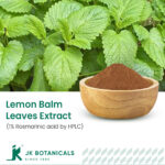 1-2 Taste JK Botanicals - Lemon balm leaves extract 1% Rosmarinic acid by HPLC in wooden bowl with fresh lemon balm leaves