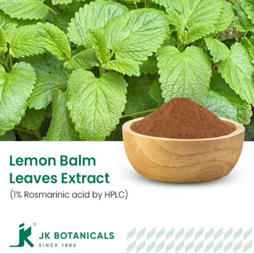 1-2 Taste JK Botanicals - Lemon balm leaves extract 1% Rosmarinic acid by HPLC in wooden bowl with fresh lemon balm leaves