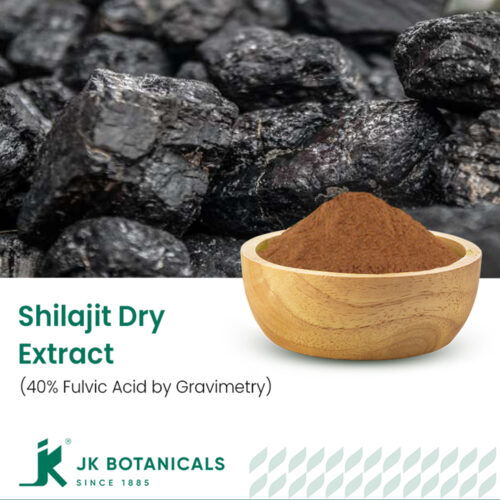 1-2 Taste JK Botanicals - Shilajit Dry Extract 40% Fulvic Acid by Gravimetry in wooden bowl and raw shilajit chunks beside
