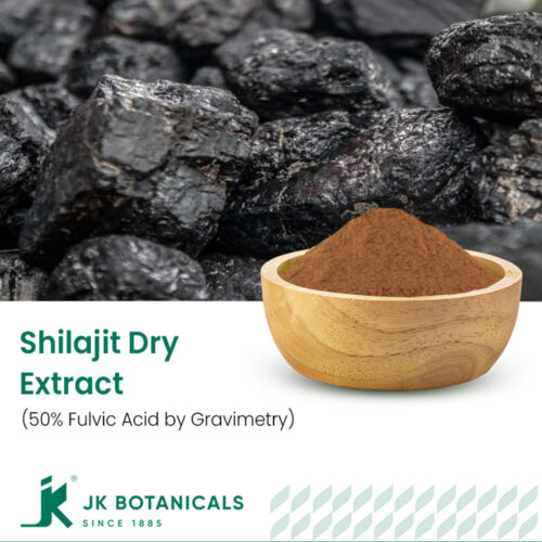 1-2 Taste JK Botanicals - Shilajit Dry Extract 50% Fulvic Acid by Gravimetry shown as dark powder in wooden bowl with raw shilajit chunks