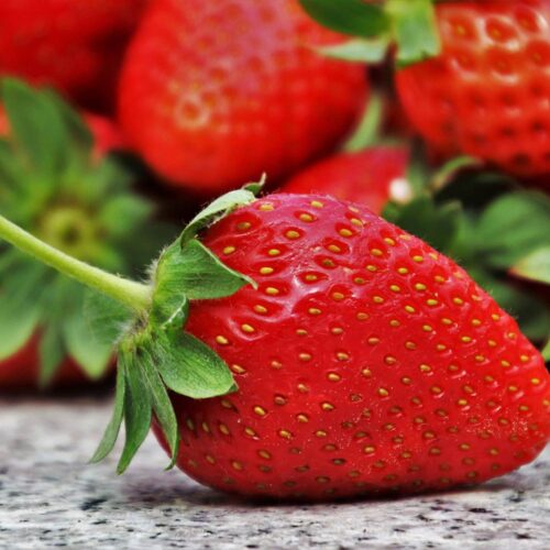 Strawberry Flavour-Powder 12 Taste