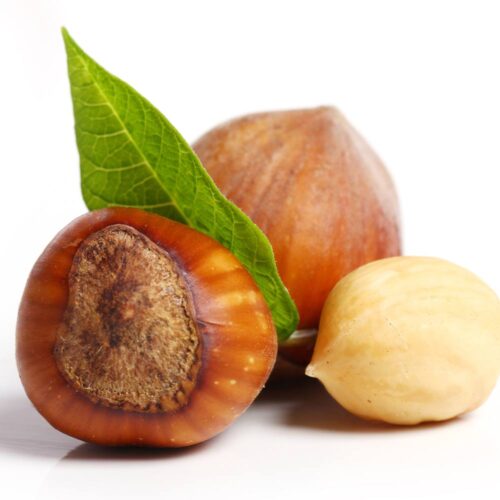 Hazelnut Natural Flavour 12 Taste