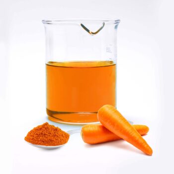 Karotte orange geschuppt