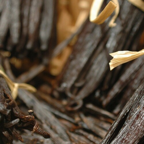 1-2 Taste Vanille BV - Vanilla Beans Madagascar are shown as dark glossy pods with natural raffia strands