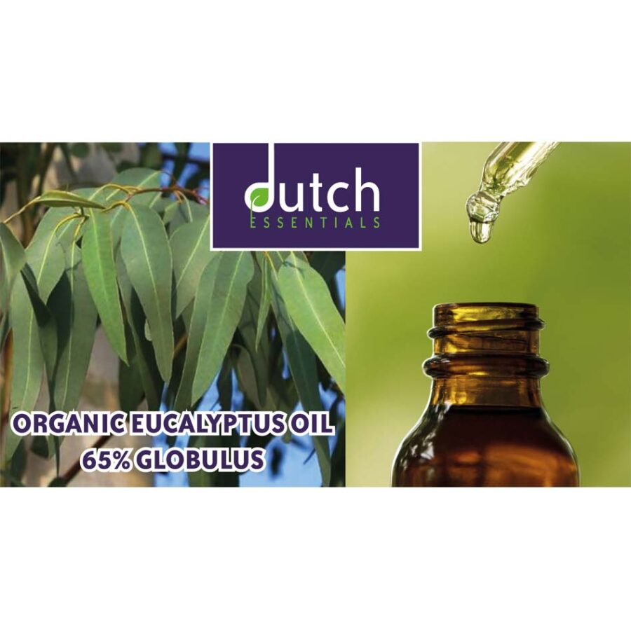 Organic eucalyptus oil 65 globulus