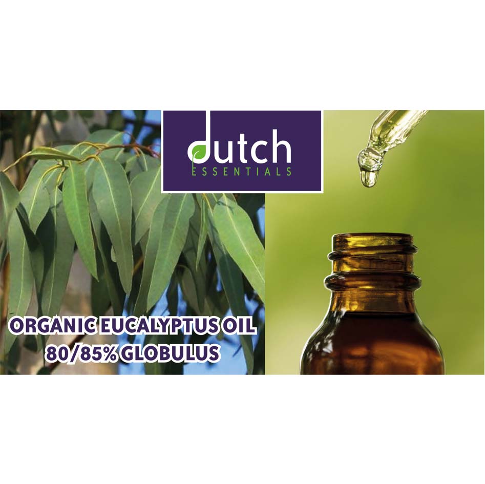 Organic-eucalyptus-oil-80-85%-globulus