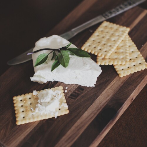 Edlong Natural Queso Crema Type Paste - Cheesy, creamy flavour for bakery, fillings, and cheese analogs. Oil-soluble and FDA-approved for food manufacturing.