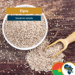 1-2 Taste Profound - Elpis Sesame seeds shown in a white bowl and wooden scoop with seeds scattered on a rustic wooden surface, featuring the Organic Africa Pavilion logo and Burkina Faso flag