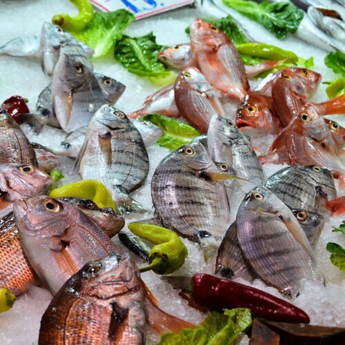 Fish Bouillon Flavour Natural Vegan 12 Taste