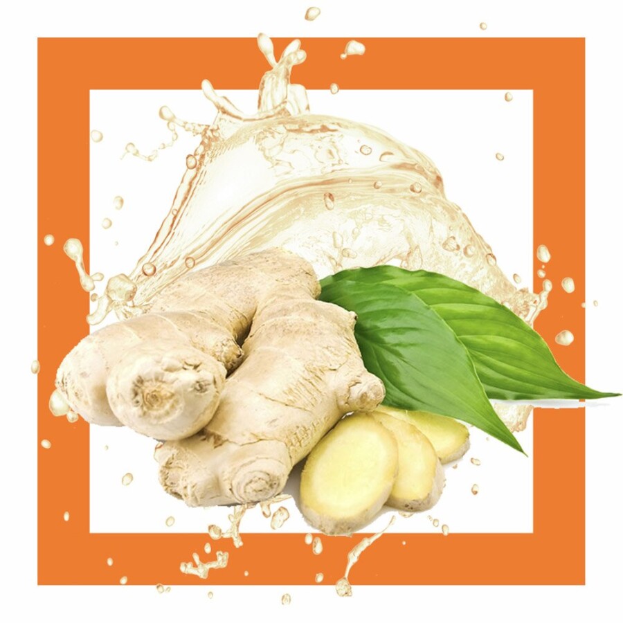 Ginger1000