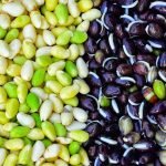 Tasture 603 Hydrolysed Vegetable Protein - Maize - Rapeseed 12 Taste
