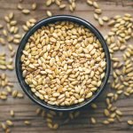 Tasture 602 Hydrolysed Vegetable Protein Wheat 12 Taste