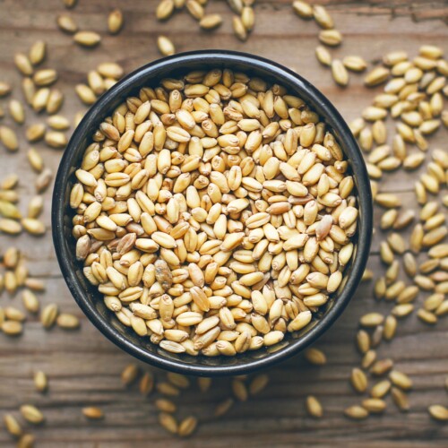 Tasture 602 Hydrolysed Vegetable Protein Wheat 12 Taste