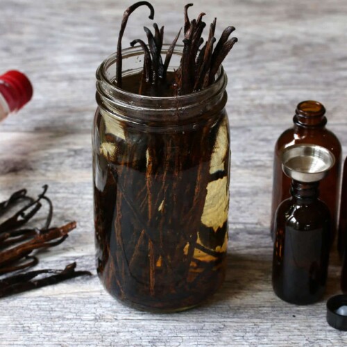 1-2 Taste Vanille BV - Vanilla Extract 3-Fold (Alcohol) - PV530(01-05-10)A with vanilla pods infused in glass jar and amber dropper bottles