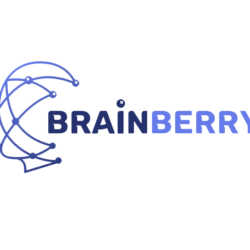 1-2-Tester: Brainberry