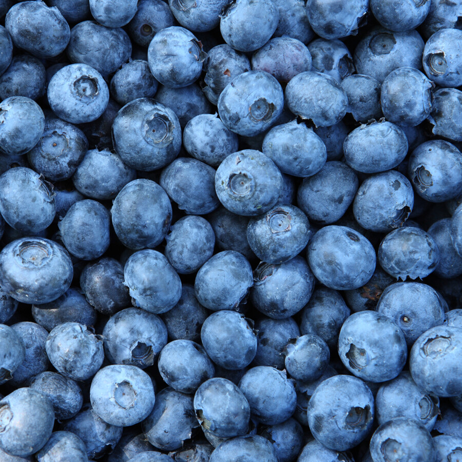 Blueberry Puree 12 Taste