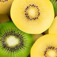 kiwi 1