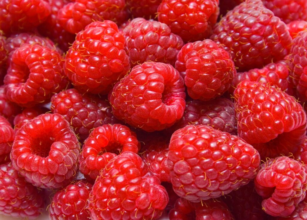 raspberry 1