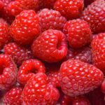 Raspberry Juice Concentrate 12 Taste