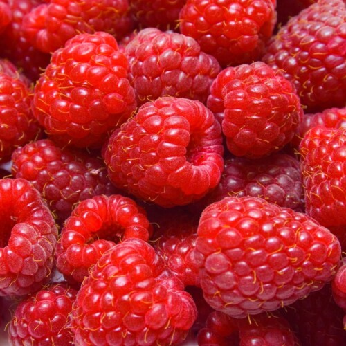Raspberry Juice Concentrate 12 Taste