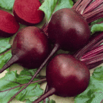 Red Beet Puree 12 Taste