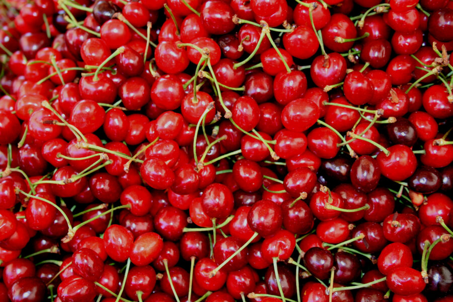 sour-cherry puree