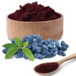 1-2 Taste Nutracevit - Organic Haskap Berry Powder (Lonicera caerulea)- POHB in bowl and spoon, with frozen berries and green leaves
