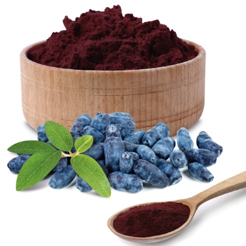 1-2 Taste Nutracevit - Organic Haskap Berry Powder (Lonicera caerulea)- POHB in bowl and spoon, with frozen berries and green leaves